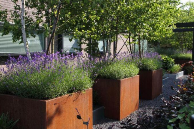 Große Metallgarten-Topf-Rusty Square Corten Steel Flower-Pflanzer-Kästen
