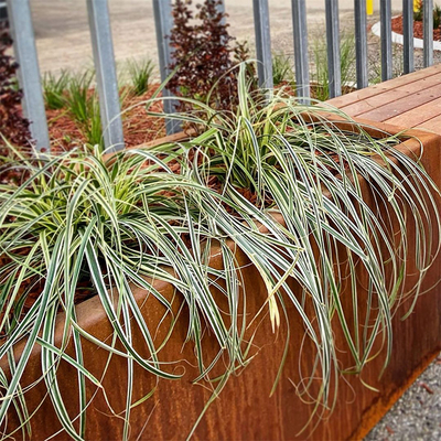 600mm 700mm 1000mm rechteckiges Tin Planter For Tree Planting im Freien