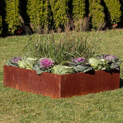 Stahl TUV Corten hob die gemalte Gewohnheit des Garten-Bett-65l*65w*30h cm an