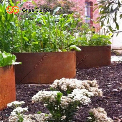 Soem-ODM-Patio-Balkon-Metall im Freien angehobenes Garten-Bett für Gemüsenichtrostendes