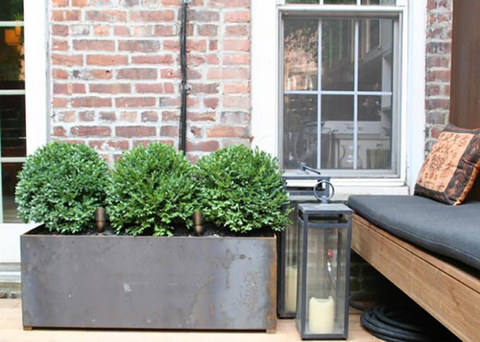 Garten-Projekt - ein Anspornungsgarten-Entwürfe