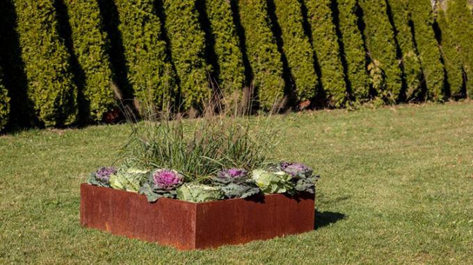 Metallpflanzer-Garten-Stahlrand des Räumungsverkauf-angehobener Garten-Bett-sofortiger Pflanzer-Metall65l*65w*30h cm im Freien
