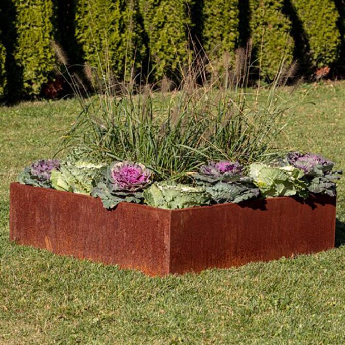 Die Metallpflanzer-Gemüseblume, die Gartenarbeitbetten anhebt, packen angehobenen Garten-Stahlrand ein