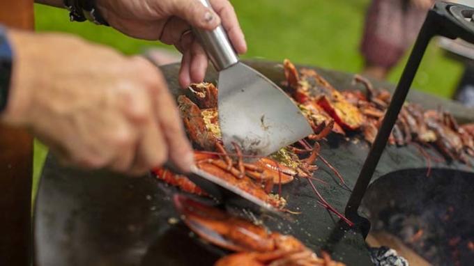 GRILL grillt das Multifunktionsfeuer-Holz-Brennen Roheisen Plancha Kochen im Freien für Gartenfest-Picknick